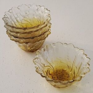 Vintage Wild Rose Pattern Clear to Amber 5 Small Fruit Bowl